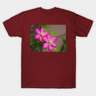 Pink clematis T-Shirt